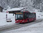 (258'258) - AFA Adelboden - Nr.