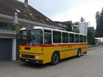 (196'378) - Soltermann, Niederuzwil - SG 118'489 - FBW/Hess (ex Tiemann, Hombrechtikon Nr.