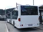 (273'465) - Wieland, Murten - Nr.