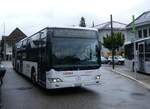 (275'828) - Hfliger, Sursee - Nr.