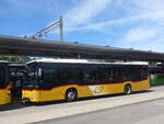 (226'033) - PostAuto Bern - BE 610'540 - Mercedes am 26.