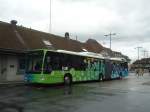 (135'202) - STI Thun (Testbus) - BS 59'327 - Mercedes am 23.