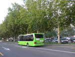 (195'487) - Peyer, Niederwangen - BE 561'081 - Optare am 2.