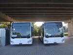 (228'049) - CarPostal Ouest - PID 11'736 + 11'737 - Mercedes am 18.