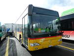 (229'951) - CarPostal Ouest - VD 335'346 - Mercedes am 31.