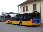 (272'559) - Wieland, Murten - Nr.