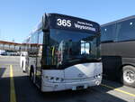 (275'698) - Interbus, Kerzers - Solaris (ex HLB Hofstein/D Nr.