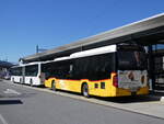 (273'835) - Amstein, Willisau - Nr.