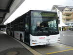(275'842) - Hfliger, Sursee - Nr.