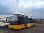 (186'132) - PostAuto Ostschweiz - TG 103'520 - MAN am 27.