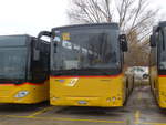 (186'650) - CarPostal Ouest - VD 525'421 - Temsa am 25.