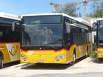 (216'993) - CarPostal Ouest - VD 259'920 - Mercedes am 10.