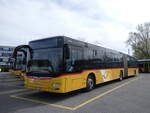 (260'823) - CarPostal Ouest - VD 623'516/PID 10'716 - MAN (ex JU 36'104) am 29.