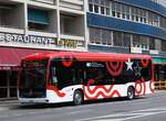 (273'978) - PostAuto Wallis - VS 574'959/PID 12'151 - eMercedes am 14.