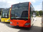 (217'434) - ARL Viganello - Mercedes am 30.