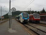 610 003 als R nach Trebnje in Sevnica.