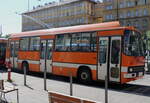 BKK Budapest - Nr. T5000 - Ikarus Trolleybus am 14. Mai 2024 in Budapest (Aufnahme: Martin Beyer)